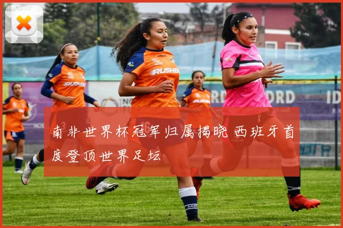 南非世界杯冠军归属揭晓 西班牙首度登顶世界足坛